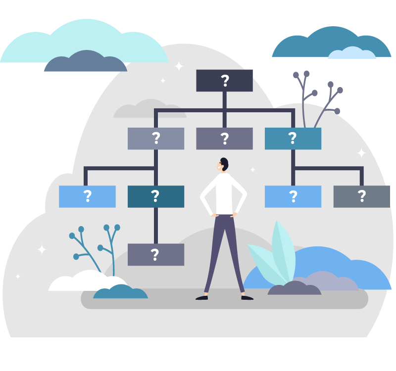 Illustration of organisation chart | MCA Seed